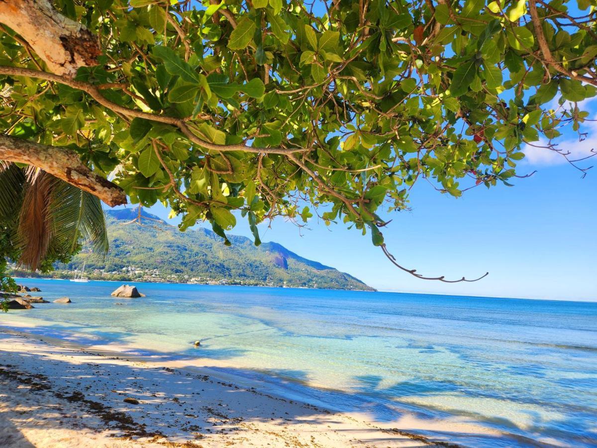Villa Kaz Memel à Beau Vallon  Extérieur photo
