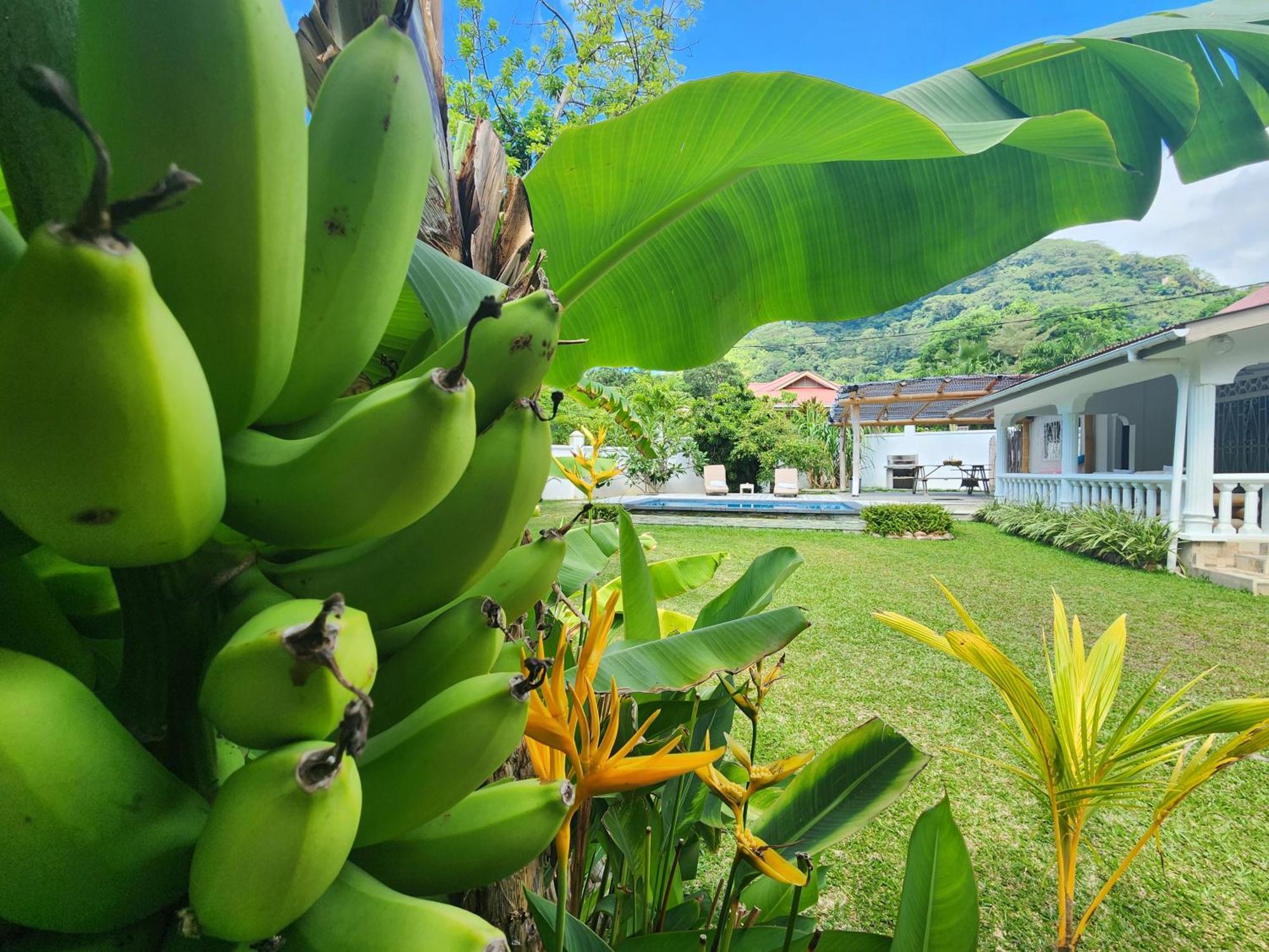 Villa Kaz Memel à Beau Vallon  Extérieur photo